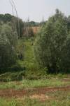 La Lanca di Gerole a Torricella del Pizzo